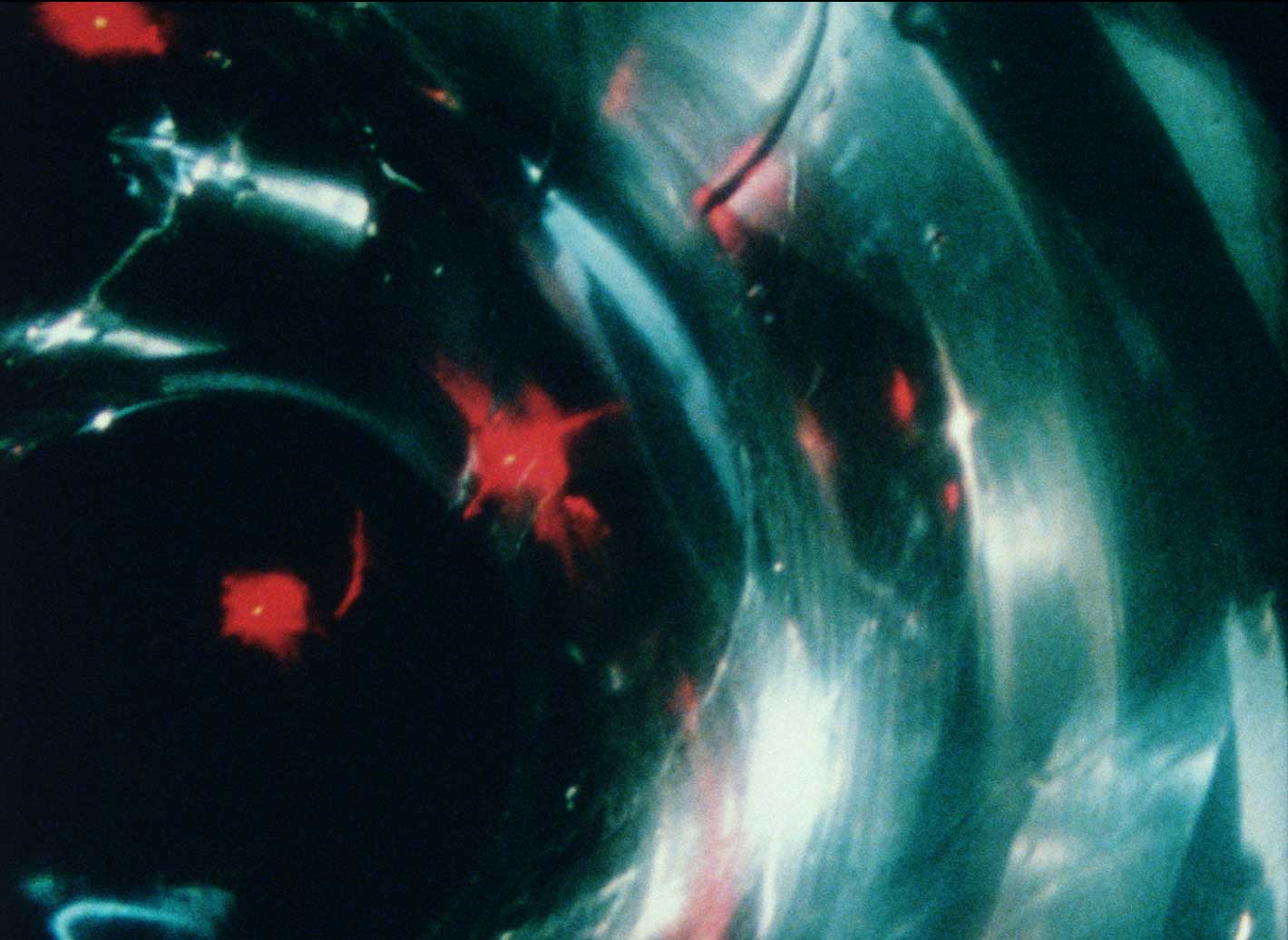 Lacrima-4