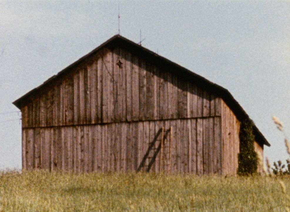 Barn-Rushes