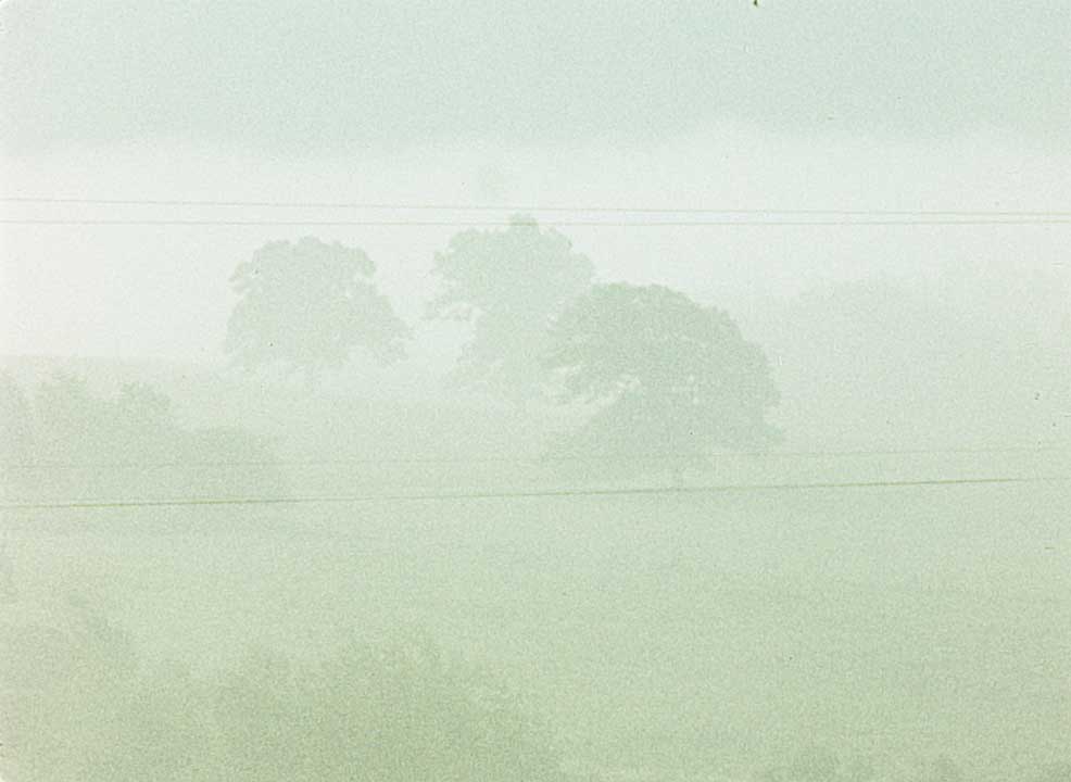 Fog-Line