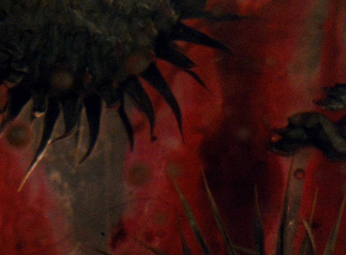 A Darkness Swallowed-1